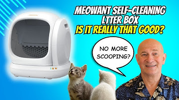 Meowant Review - Self Cleaning Litter Box || Is It Worth It?