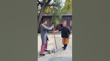 Shaolin Kung Fu #yanhao #shaolinkungfuyanhao
