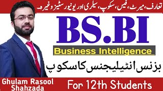 BSBI | Scope of BS.Business Intelligence