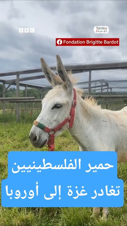      
 - نشر قبل 16 دقيقة