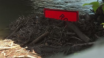 Could dredging rivers help stop future flooding?