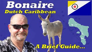 Bonaire in the Dutch Caribbean  Beautifully Odd or Oddly Beautiful?