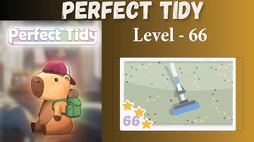 Perfect Tidy Level 66 Solutions