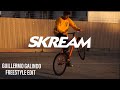 Fixed gear tricks  guillermo galindo for skream bikes