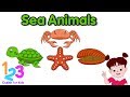 Belajar Bahasa Inggris Mengenal Hewan Laut Diva 1 | 123 English For Kids | Kartun Anak Channel