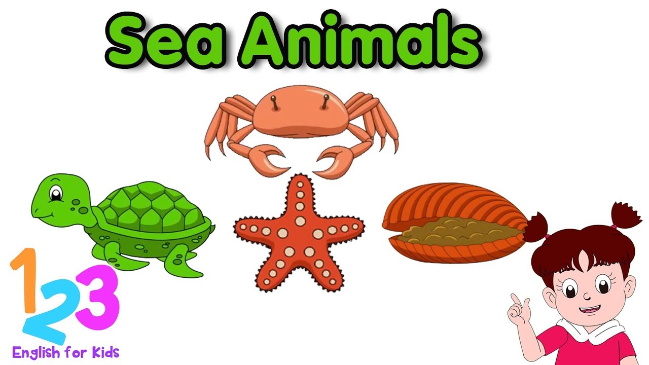 Belajar Bahasa  Inggris  Mengenal Hewan  Laut Diva 1 123 