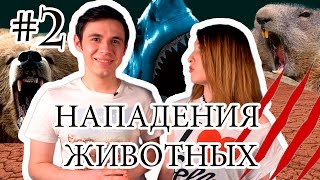 ТОП 6 НАПАДЕНИЙ ЖИВОТНЫХ НА ЛЮДЕЙ ТОП 6 НАПАДЕНИЙ ЖИВОТНЫХ НА ЛЮДЕЙ