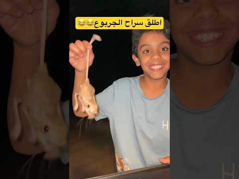 أطلق سراح الجربوع