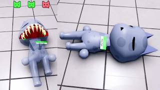 Working at the Animal Hospital (Anomaly) Again