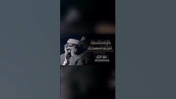وَاتْلُ عَلَيْهِمْ نَبَأَ إِبْرَاهِيمَ | سورة الشعراء | تلاوة مرئية | محمد صديق المنشاوي رحمه الله