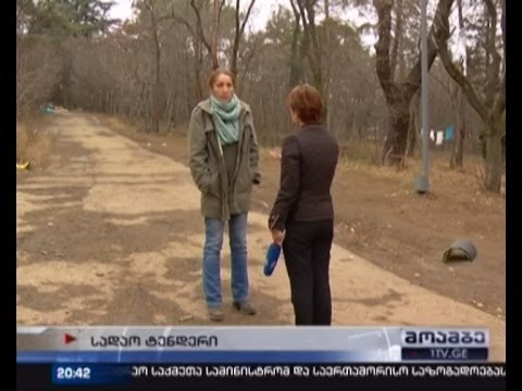 თბილისში ხეების სანიტარული ჭრის პროცესი შეჩერებულია