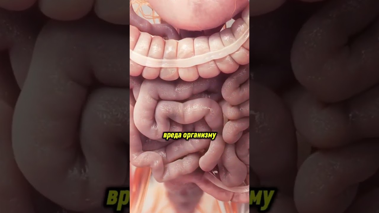 Лучшие таблетки от поноса, вздутия, диареи и тошноты #здоровье #дляздоровья #диарея