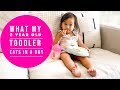 WHAT MY 2 YEAR OLD TODDLER EATS IN A DAY | TODDLER FOOD IDEAS | 24 MONTH OLD TODDLER | FOOD DIARY