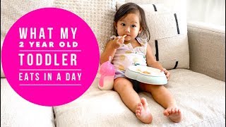 WHAT MY 2 YEAR OLD TODDLER EATS IN A DAY | TODDLER FOOD IDEAS | 24 MONTH OLD TODDLER | FOOD DIARY