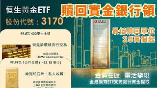 有料! 大細條! 兩款實金存倉，香港唯一可於銀行贖回實金的黄金ETF｜恒生觀點: 2026年金價可見6,000美元｜ #恒生黄金ETF 3170