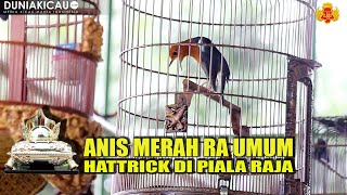 PIALA RAJA 21 : ANIS MERAH RA UMUM CATATKAN HATTRICK