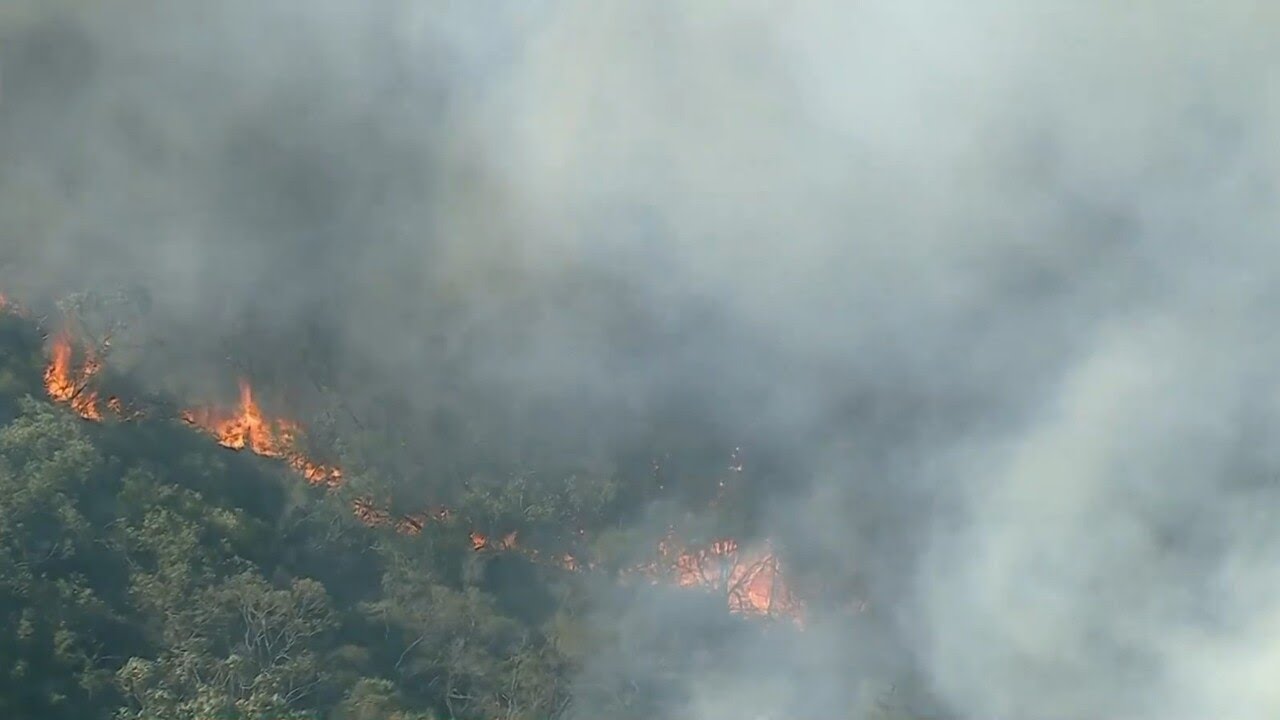 Emergency warning in place over out of control bushfire in NSW Northern ...