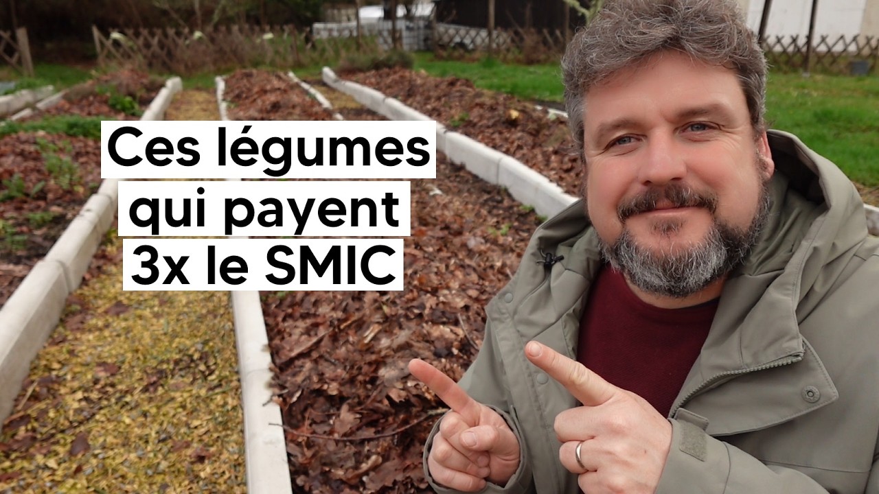 Ces légumes qui payent 3 fois le SMIC 😎