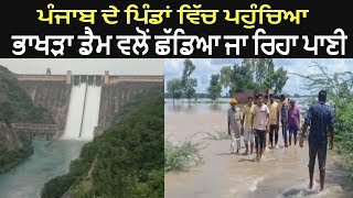Water Release From Bhakra Dam Enters In Village of Punjab - Watch Video