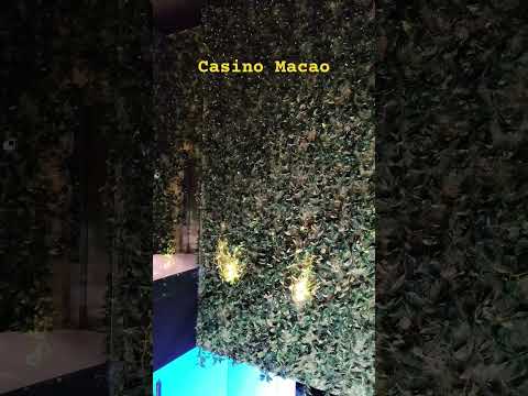 Casino Macao