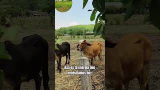 te gustaría vivir asi 🏡 #ultima #ultimo