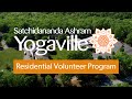 Discover yogavilles residential volunteer program