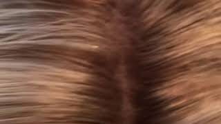 HairLook