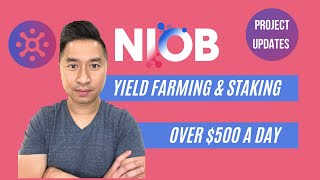 Yield Farming And Staking Over $500 A Day