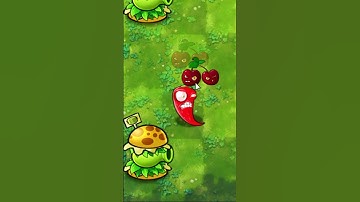 khi ớt kết hợp với cherry trong pvz fusion 2.2.1 #nhatmrx #pvzrh