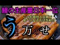 鹿児島グルメ！日本一の生産量の鹿児島県でこんなにも高品質で安くて旨い鰻屋を紹介！