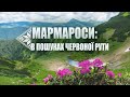 Мармароси в пошуках червоної рути Мармароси в пошуках червоної рути