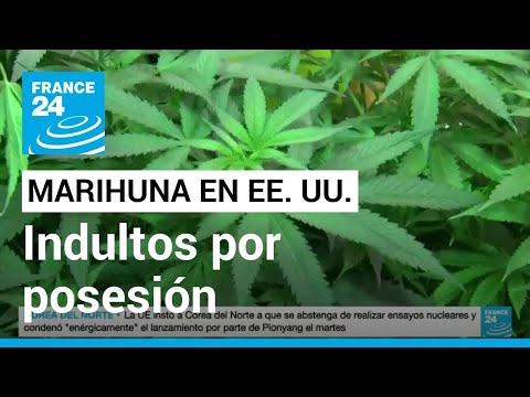 Condenados federales por posesión de marihuana serán indultados en Gobierno Biden