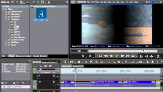 EDIUS 6 and EDIUS Neo - create black dissolve