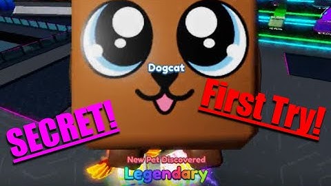 I Got The *SECRET* Dogcat First Try In Mining Simulator 2!
