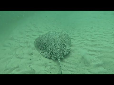 Gold Coast Seaway - 16.06.2025 | Entry #30