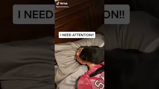 Excuse Me, I Need Attention