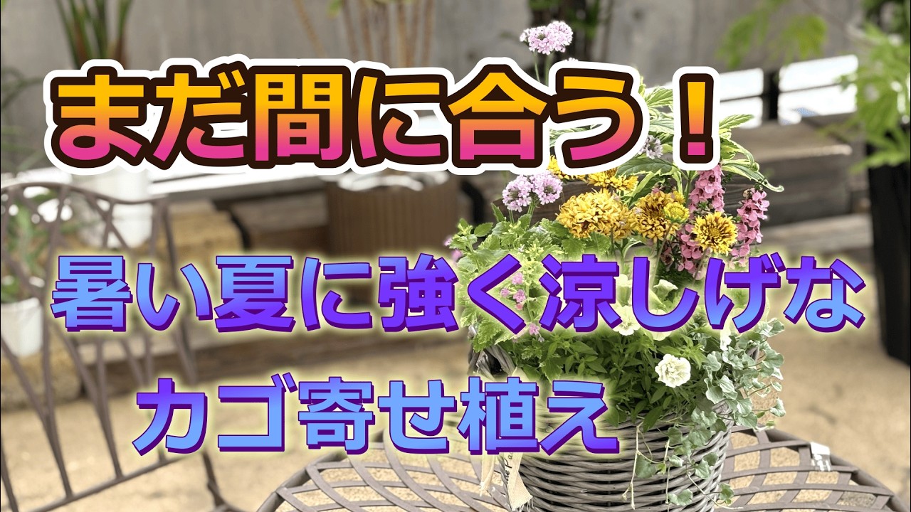 Still Not Too Late! Heat-Tolerant and Refreshing Basket Container