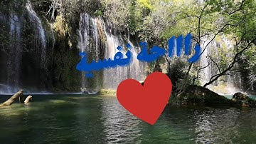 حالة واتس قرآن كريم بصوت الشيخ ماهر المعيقلي