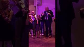 Viool Les Amersfoort
