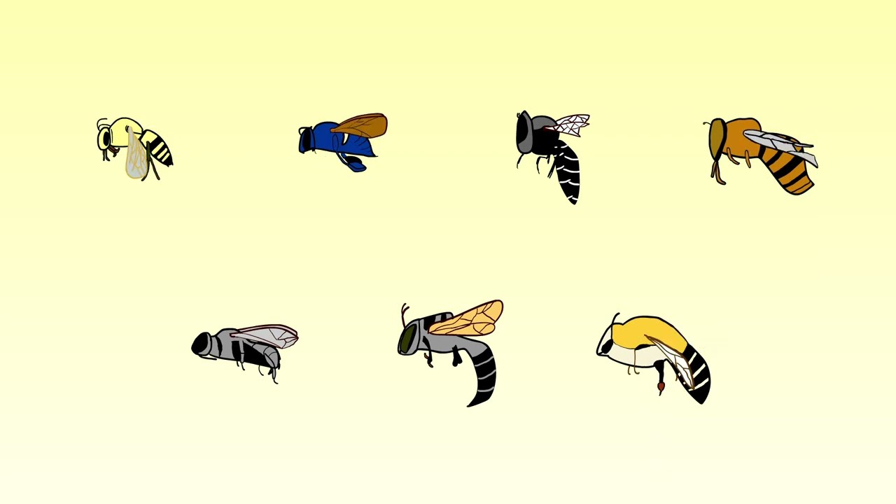 Beeless Future