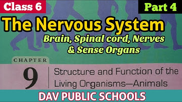 DAV class 6 Science chapter 9 Structure and Functions of the Living Organisms Animals