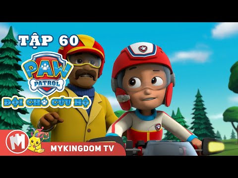 ĐỘI CHÓ CỨU HỘ PAW PATROL MINI | Tập 60 | Phim hoạt hình