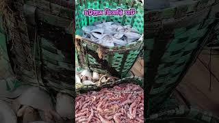 ফরশ রপচদ ও রড টইগর চড চটটগরম ফশর ঘট সরঘট