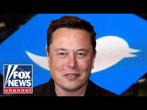 Does Elon Musk have a plan around Twitter's poison pill?