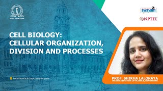 Lec 21 Nuclear organization
