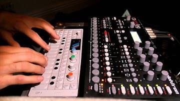 Analog Four + OP-1 (CUCKOO)