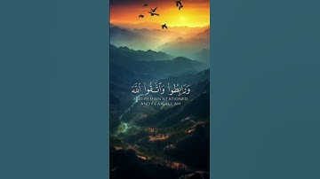 {يا أيها الذين آمنوا اصبروا وصابروا ورابطوا} القارئ ياسر الدوسري سورة آل عمران