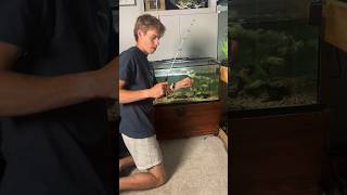 Fishing For My Pet Fish