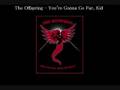 The Offspring You Re Gonna Go Far Kid 