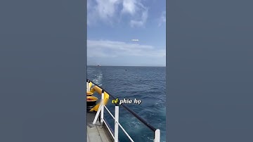 Con tàu đen đủi khi đụng độ cướp biển ở ngoài khơi #shorts